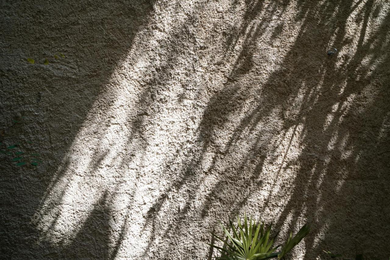 Apartmán Teva Tulum, Aldea Zama Exteriér fotografie