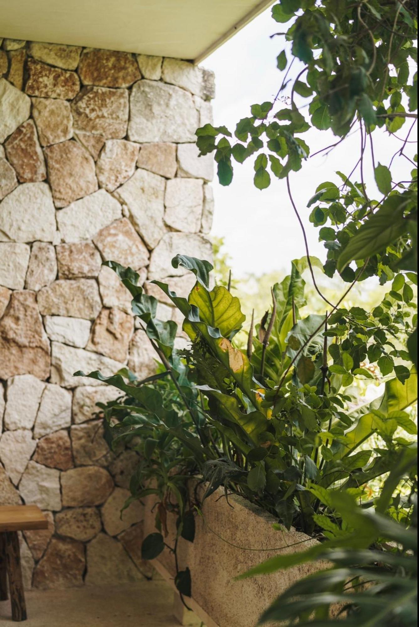 Apartmán Teva Tulum, Aldea Zama Exteriér fotografie