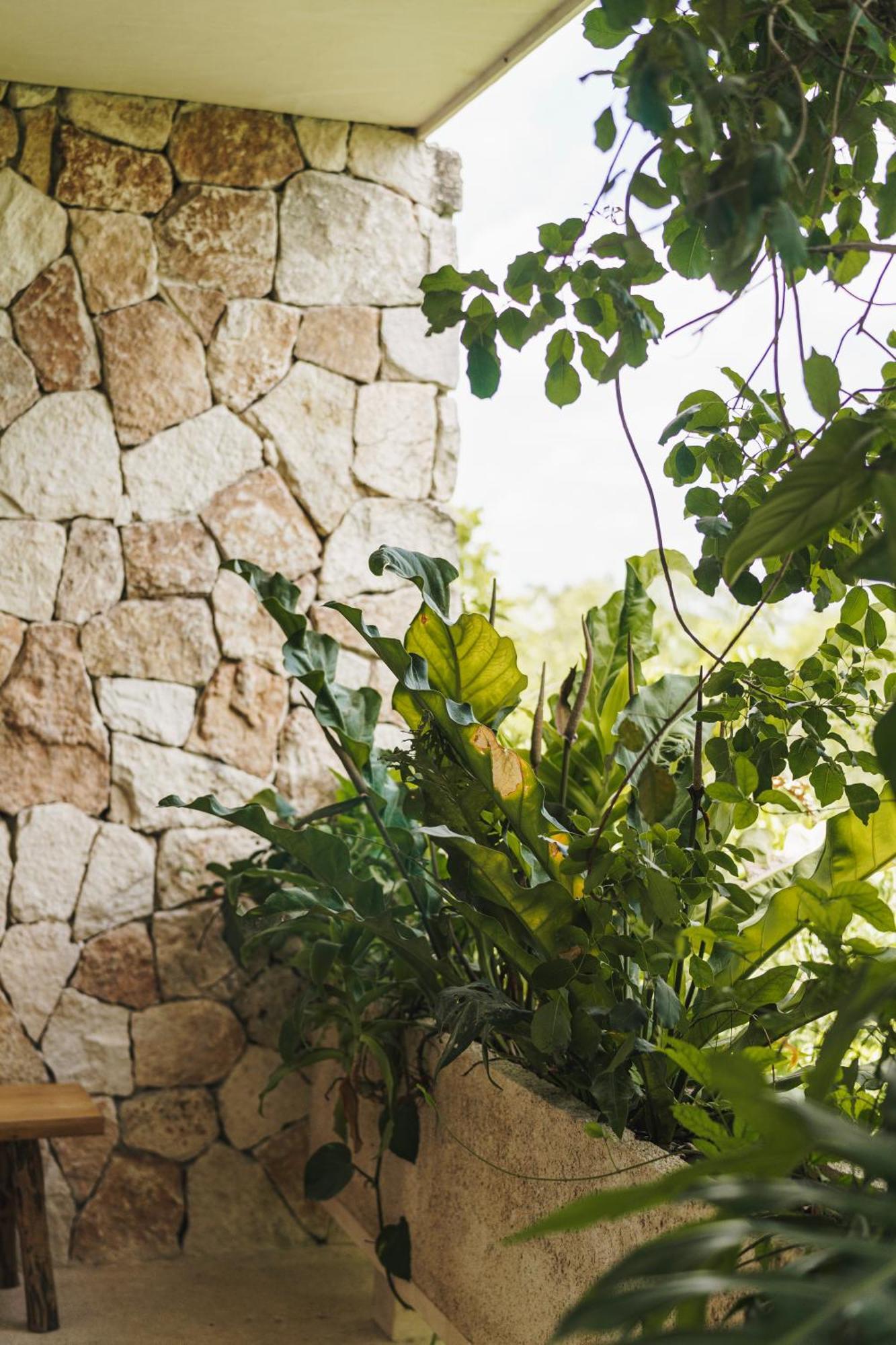 Apartmán Teva Tulum, Aldea Zama Exteriér fotografie
